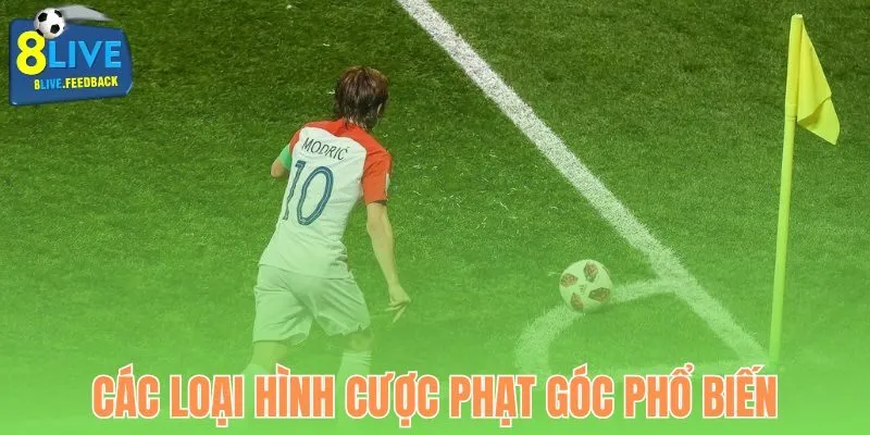 Những loại hình cược phạt góc nổi bật tại 8Live