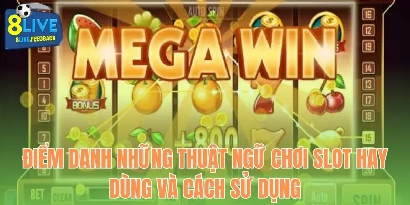 Thuật ngữ chơi slot 8live
